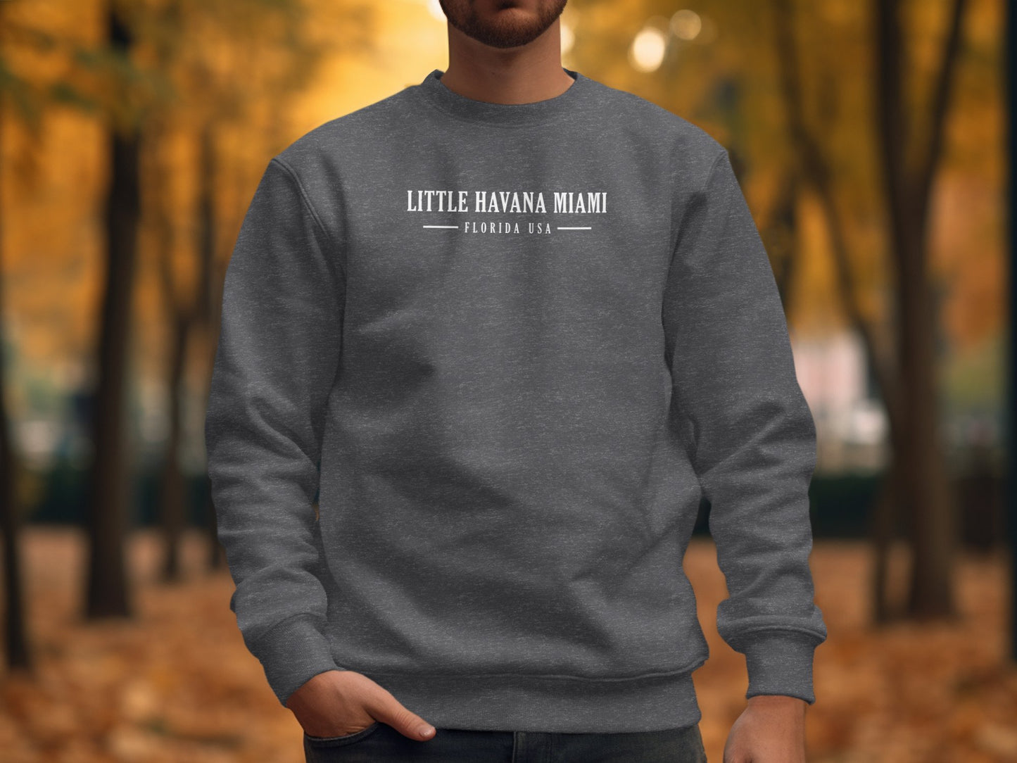 Dark heather Little Havana Miami Sweatshirt with centre-chest white travel typography and Florida USA spaced serif lettering beneath.