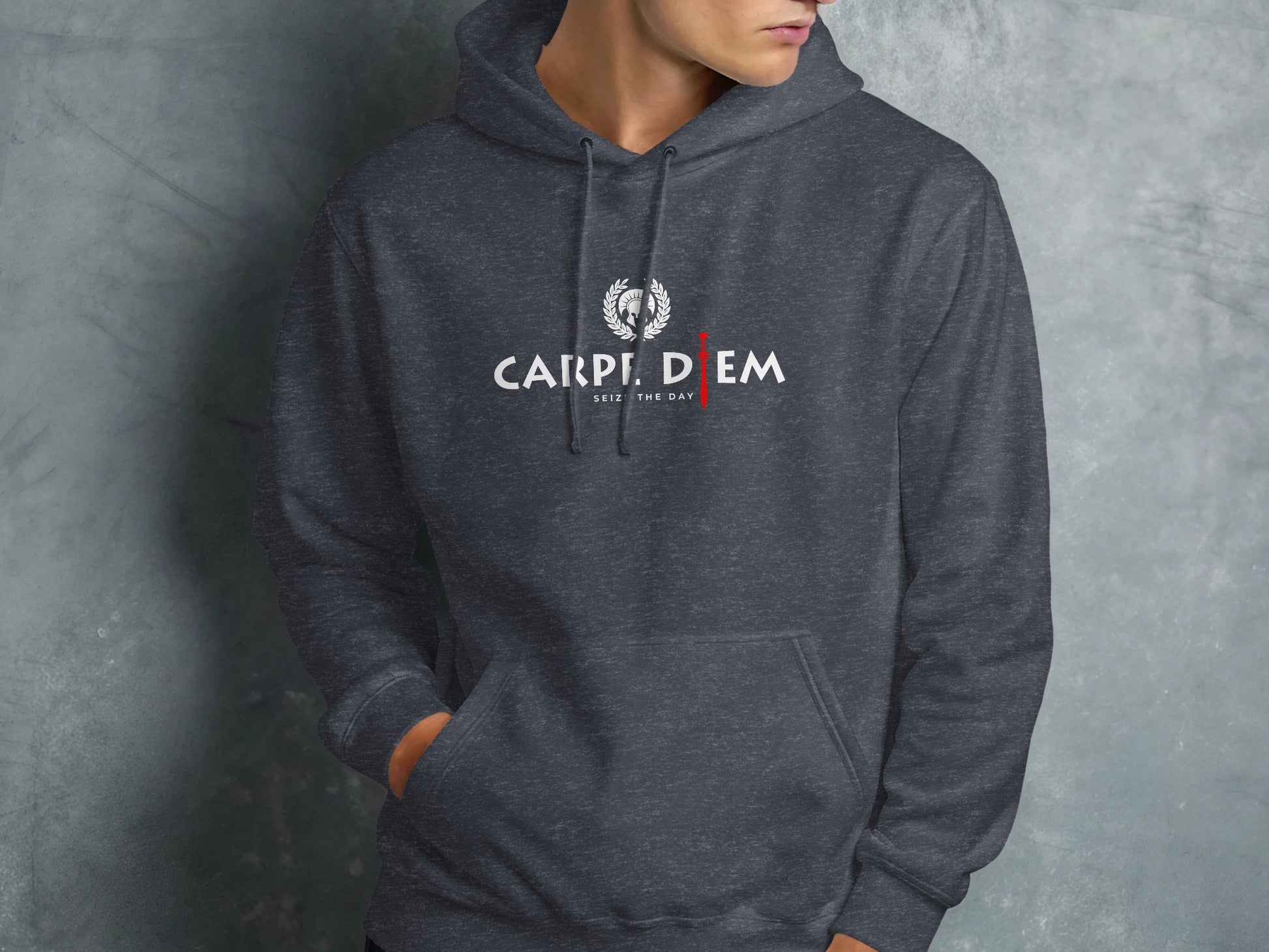 Seize the Day dark heather grey hoodie with relaxed fit, inspirational print, and comfortable all-season design.