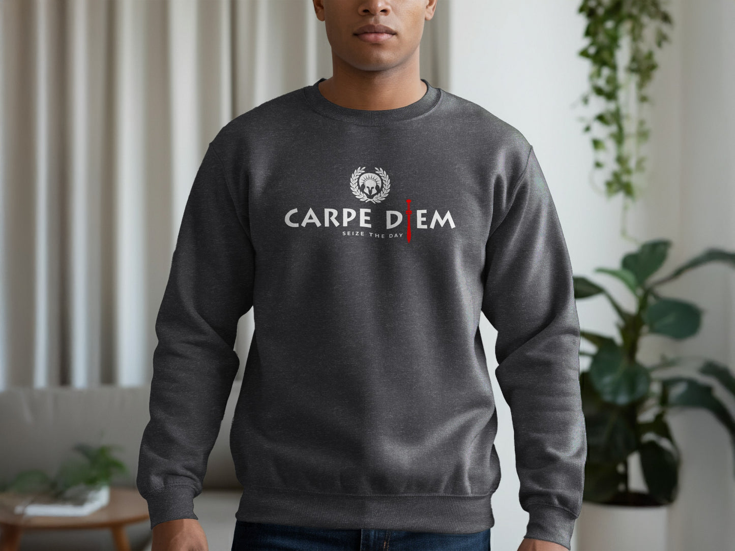 Seize the Day dark heather sweatshirt with ribbed cuffs, soft interior, and relaxed unisex fit for effortless warmth.