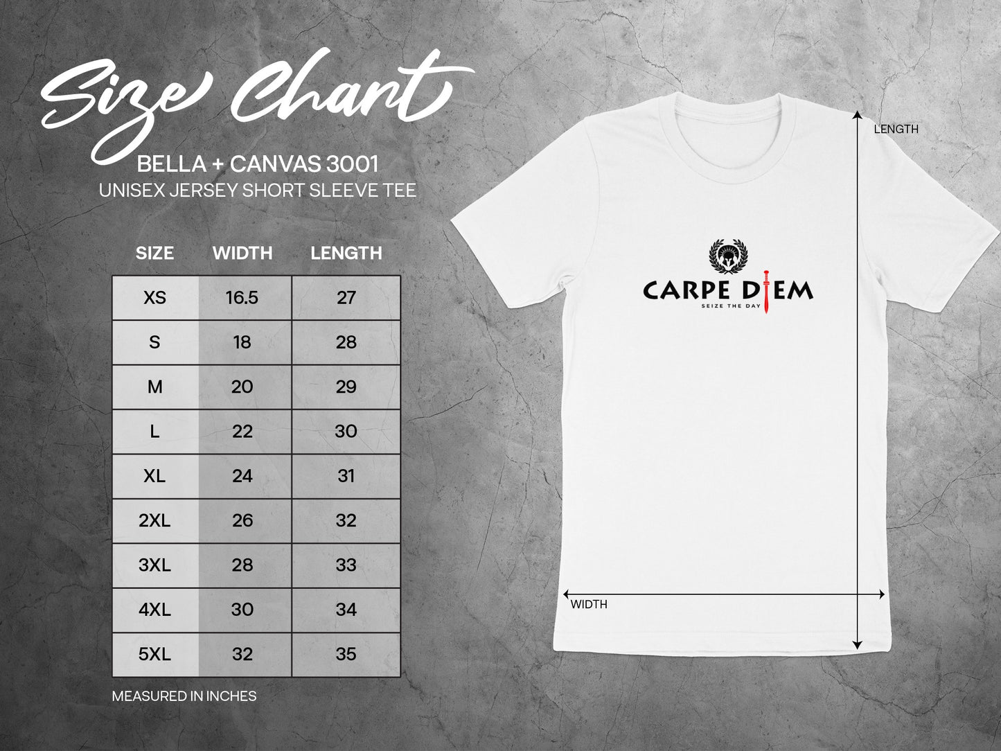 Seize the Day t-shirt size chart showing chest, length, and sleeve measurements for accurate, confident sizing.
